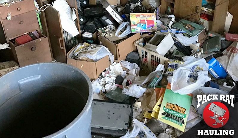 Hoarding Clean Out Services Ashburn, VA